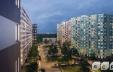 фото ЖК "Ручьи" Санкт-Петербург (СПб) - 6